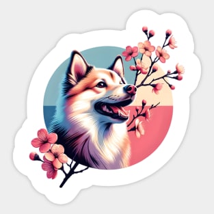 Norwegian Buhund's Joyful Spring Cherry Blossom Moment Sticker